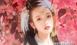 龙公子最新爆料盈公主,盈公主神秘身世大揭秘！