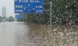 涿州洪水最新爆料新闻,救援行动紧张进行，受灾情况持续更新