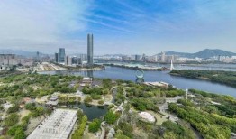 厦门杏林最新爆料,揭秘杏林发展新动向