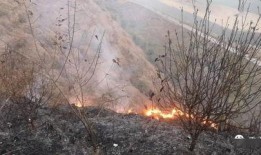 狮子山爆料视频最新,最新热点事件深度解析