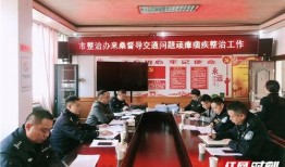 桑植新闻爆料最新视频播放,精彩瞬间回顾