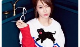 杨紫最新爆料贴吧视频,揭秘娱乐圈幕后真相，视频内容引发热议